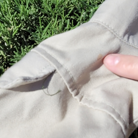 Stylish Cream Dog Jacket - Picture 8 of 10